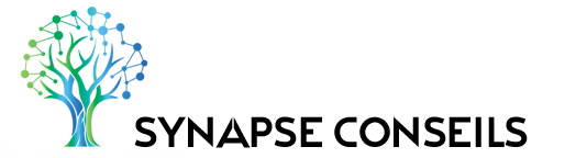 Synapse Conseils